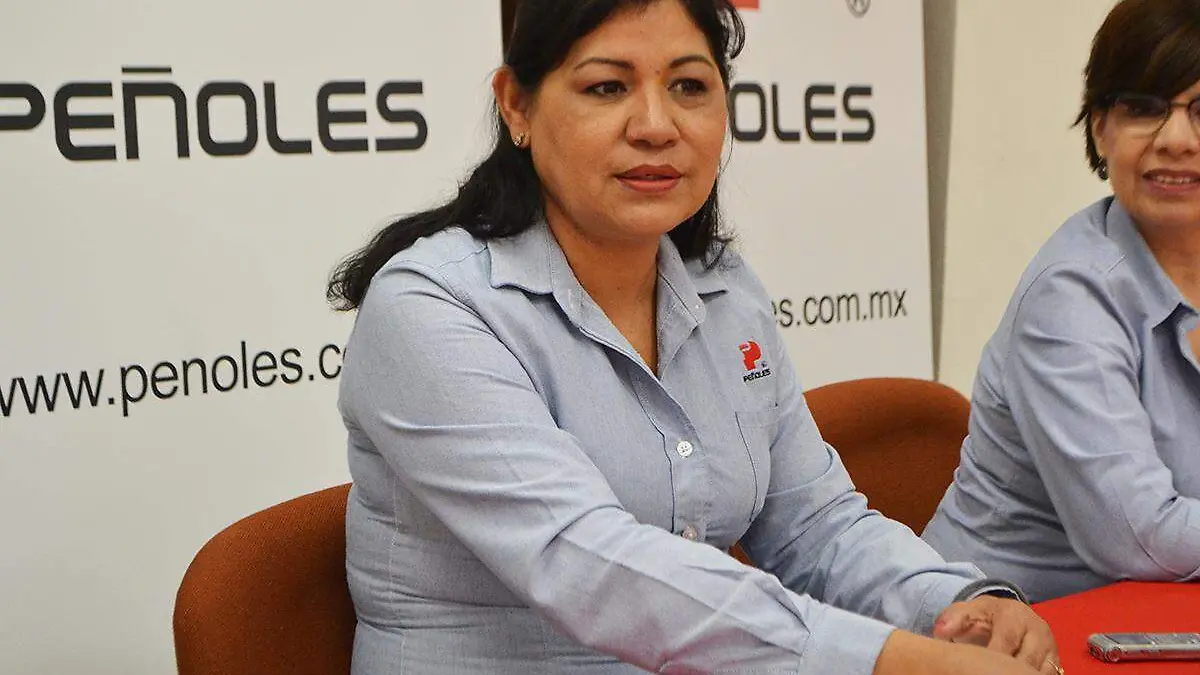 campos7-1