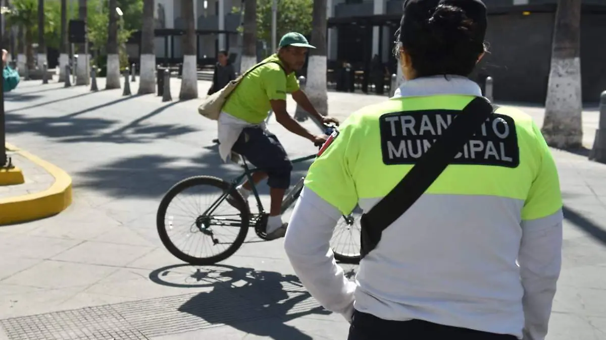 Tránsito y Vialidad