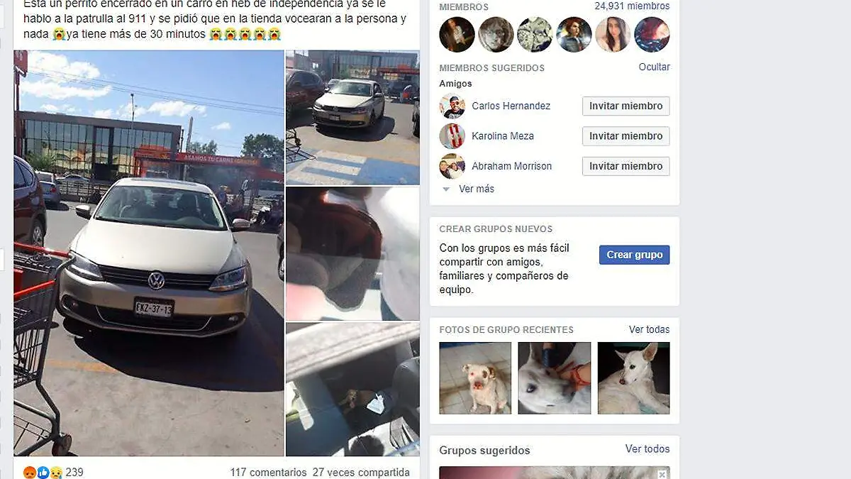Perrito encerrado
