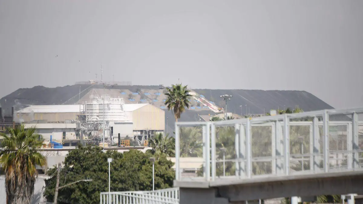 WhatsApp Image 2022-03-02 at 12.35.52 PM