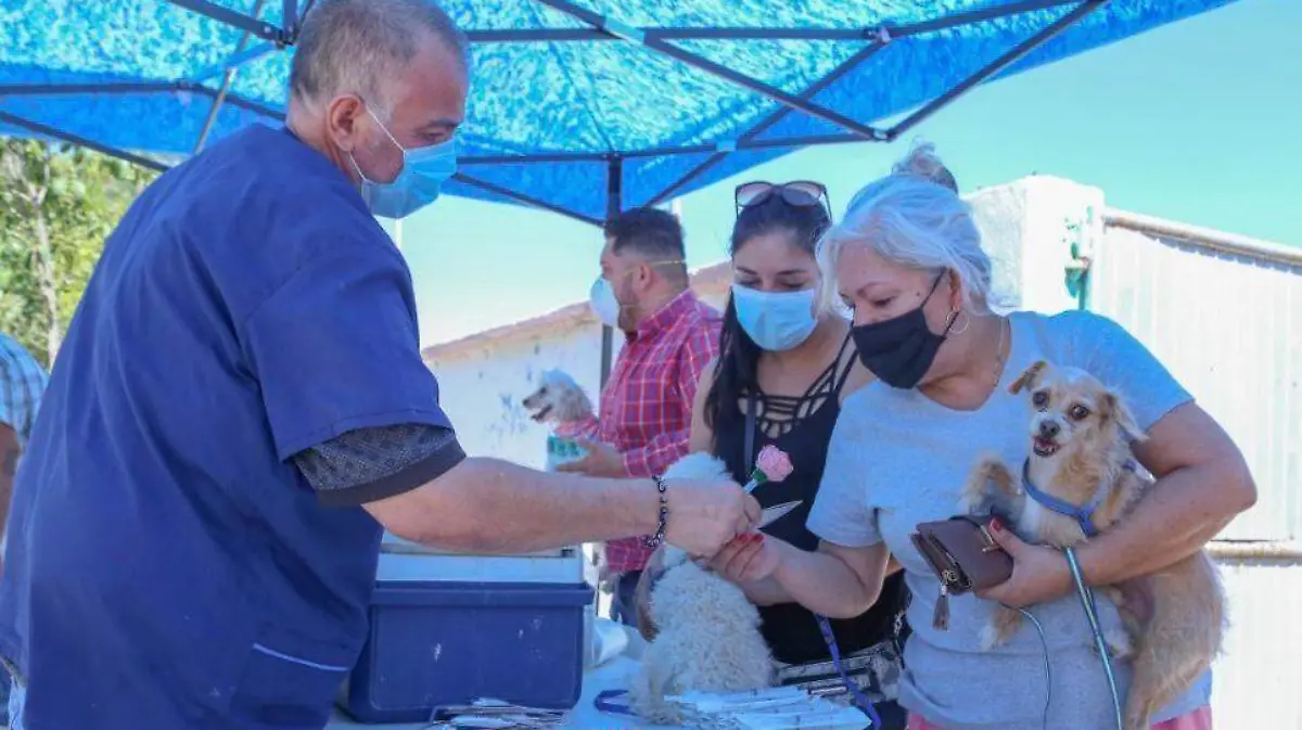 Feria Salud Animal Torreón