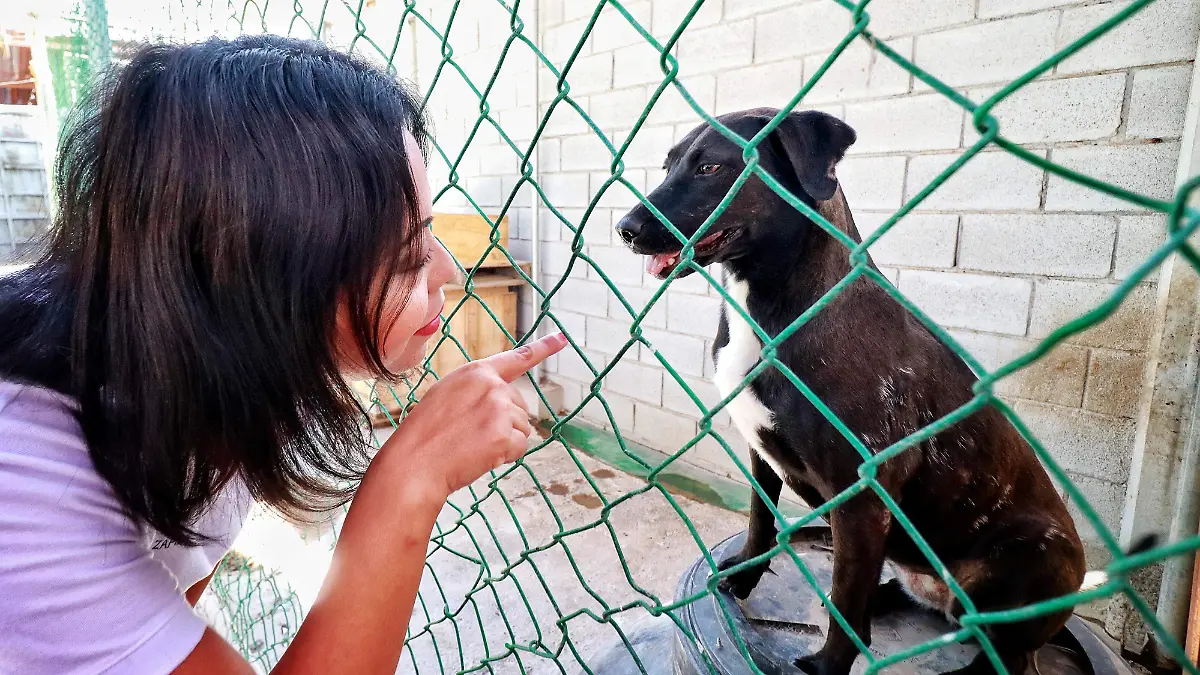 20220715093051_IMG_0868-01