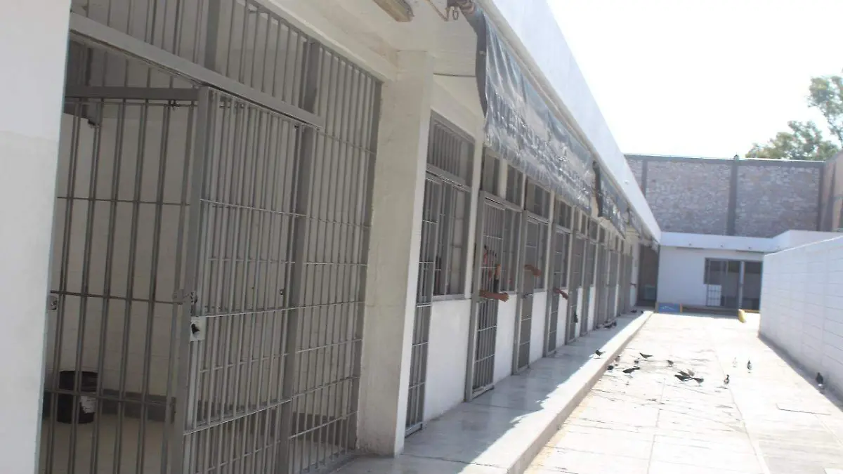 Cárcel Municipal Torreón