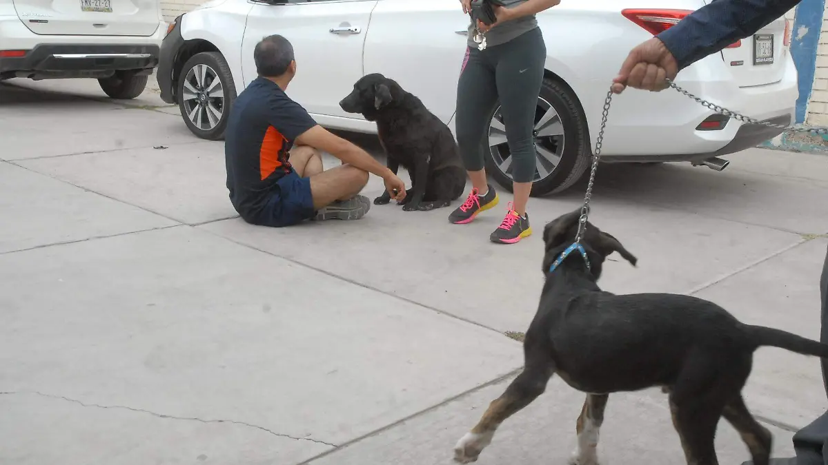 julio 2_ foto david andrade