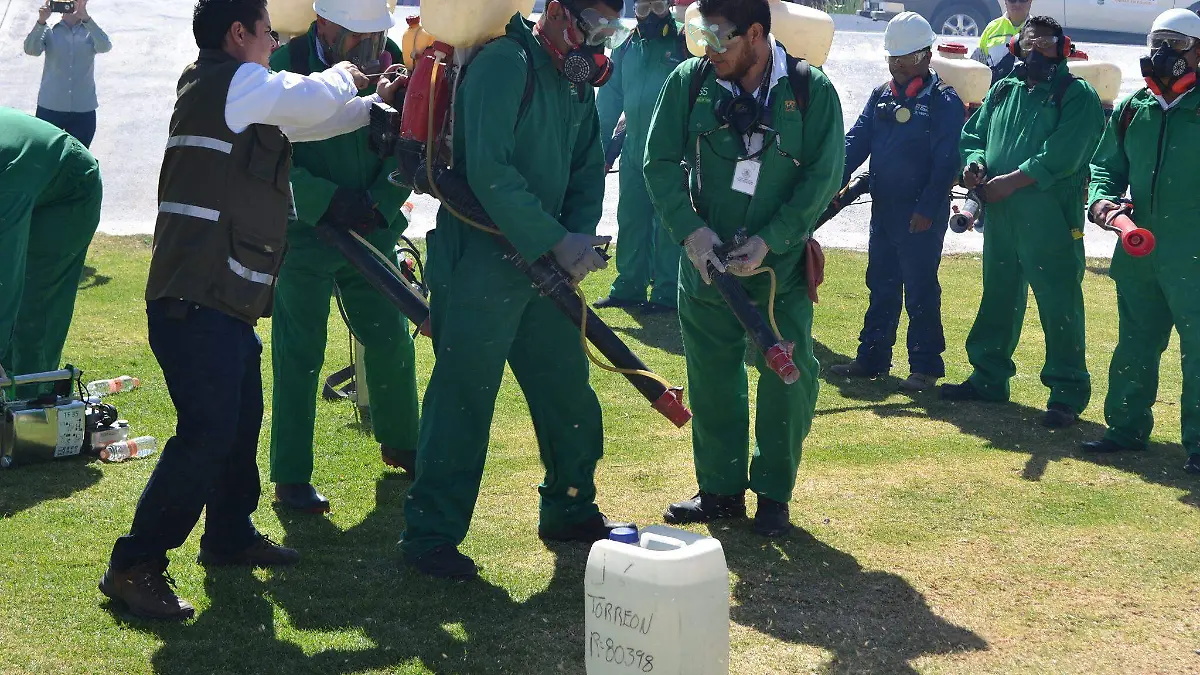 La Laguna no registra casos de dengue