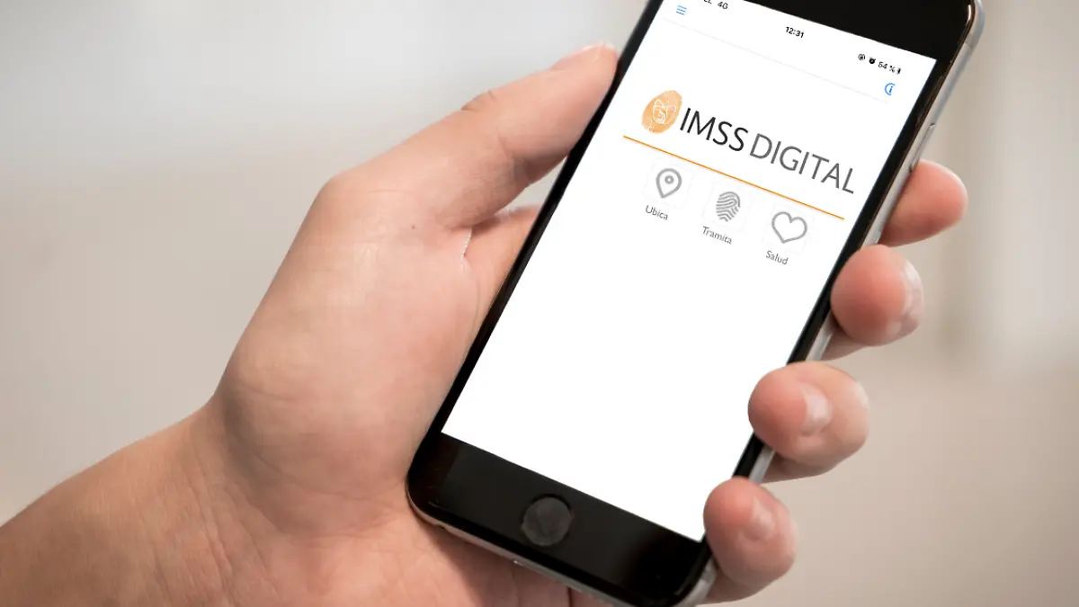 app imss