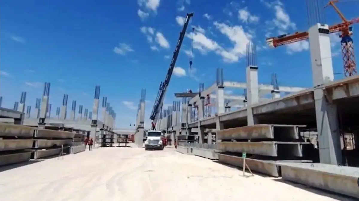 WhatsApp Image 2023-08-12 at 11.17.55