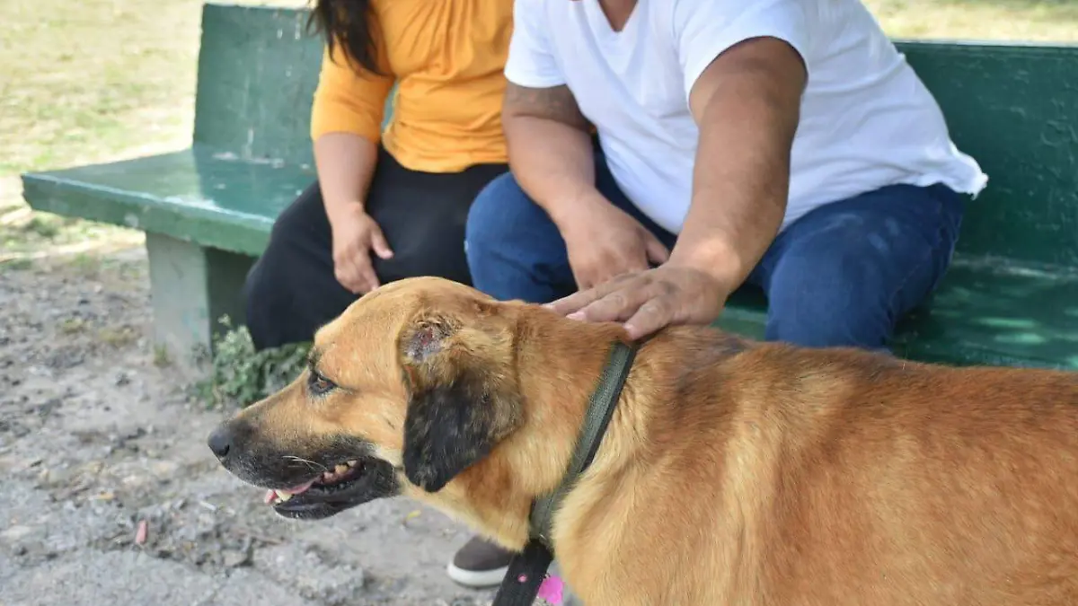 WhatsApp Image 2023-08-07 at 13.21.53