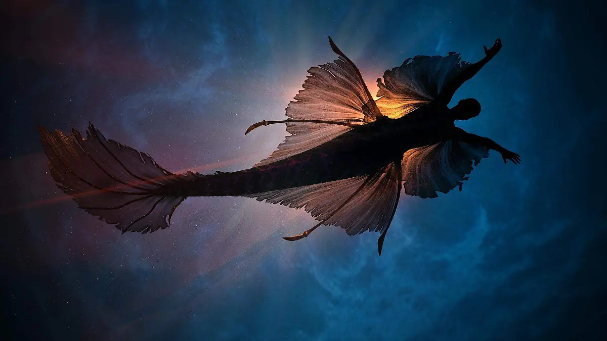 mermaid-4761358_1920