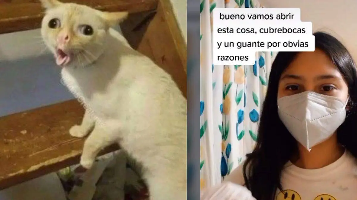¡Está vivo!