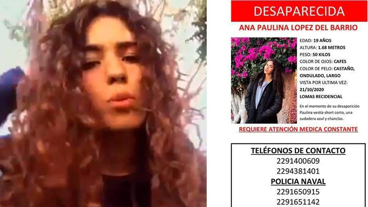 ana paulina