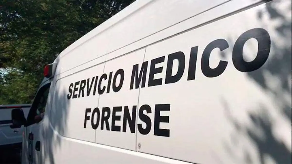 semefo tarde