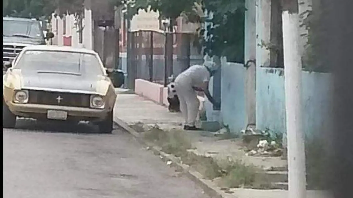 señora envenena gatos