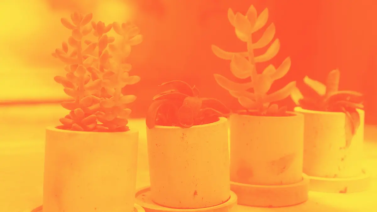 Portada NOTAS - 2023-07-17T145901.815