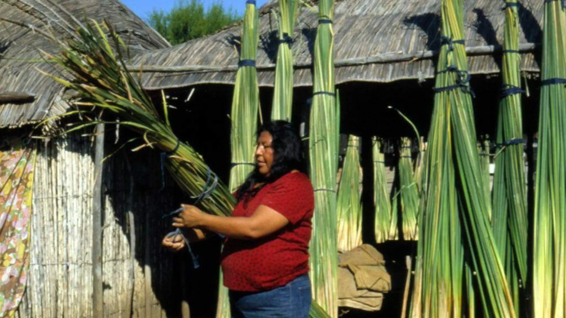 Pueblos Indígenas: Kikapú