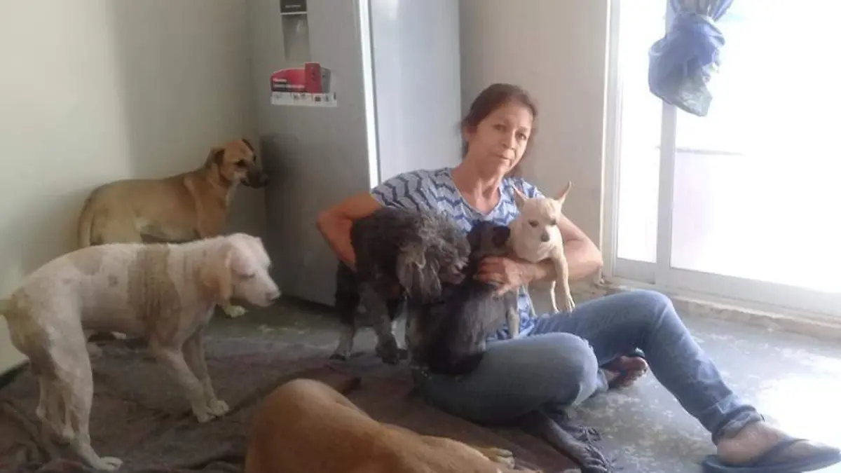 Perritos