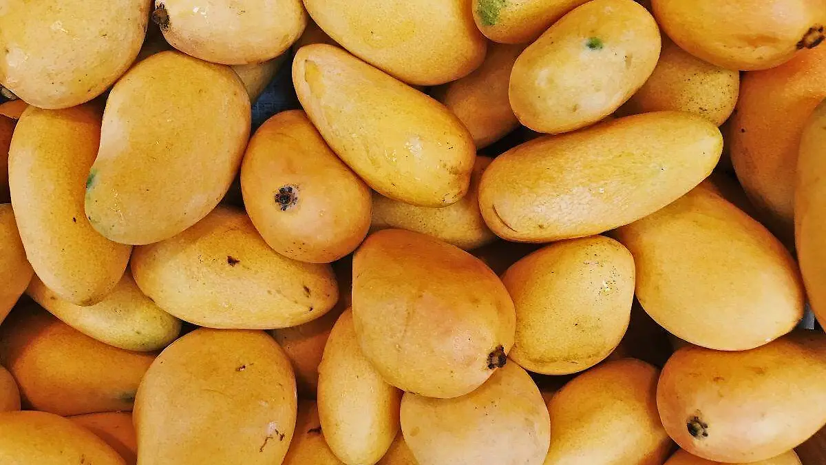 mango-precio