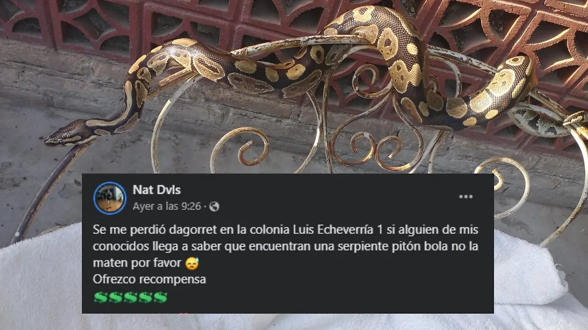 Diseño sin título (10)