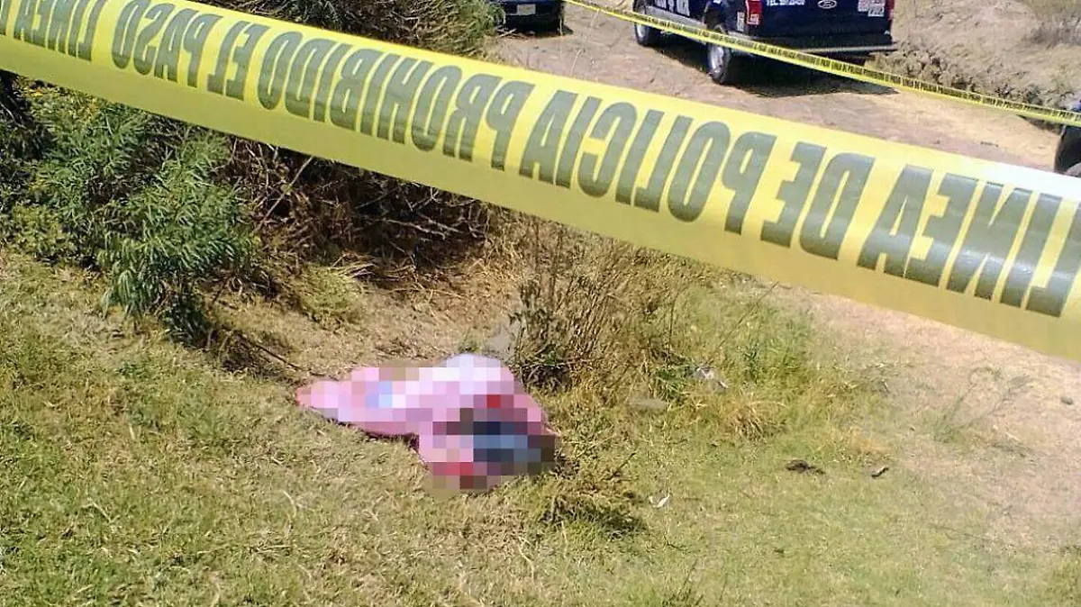 1bca8523-628a-4107-8d76-9978c9dc640e