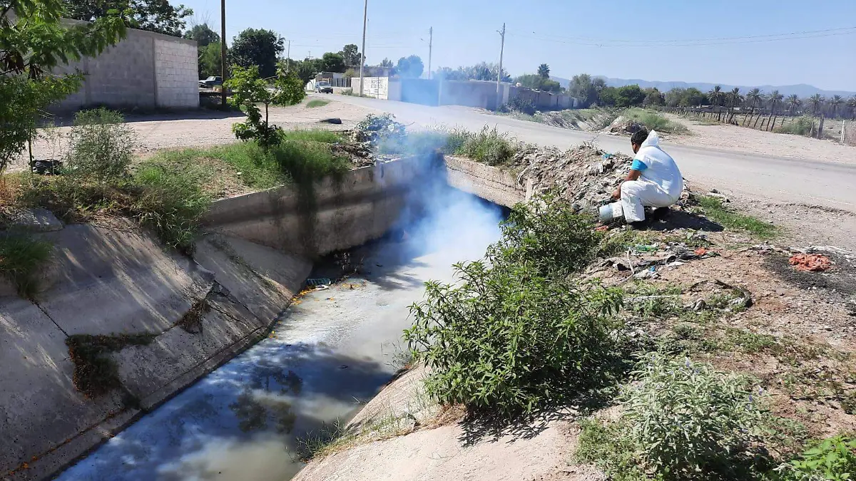 WhatsApp Image 2022-09-14 at 08.58.20