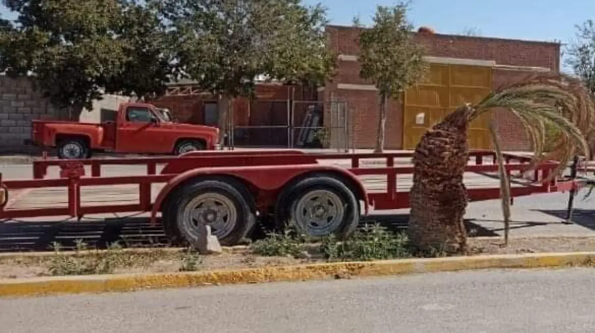 WhatsApp Image 2023-02-16 at 08.34.30