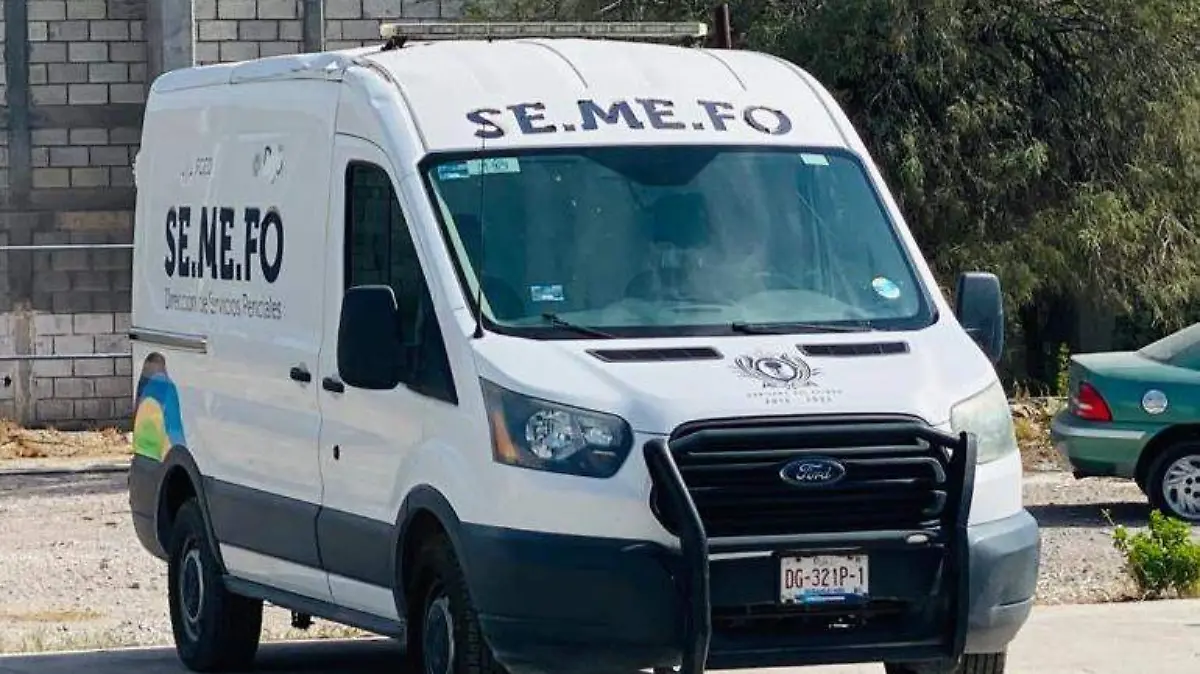 WhatsApp Image 2022-11-11 at 09.15.51