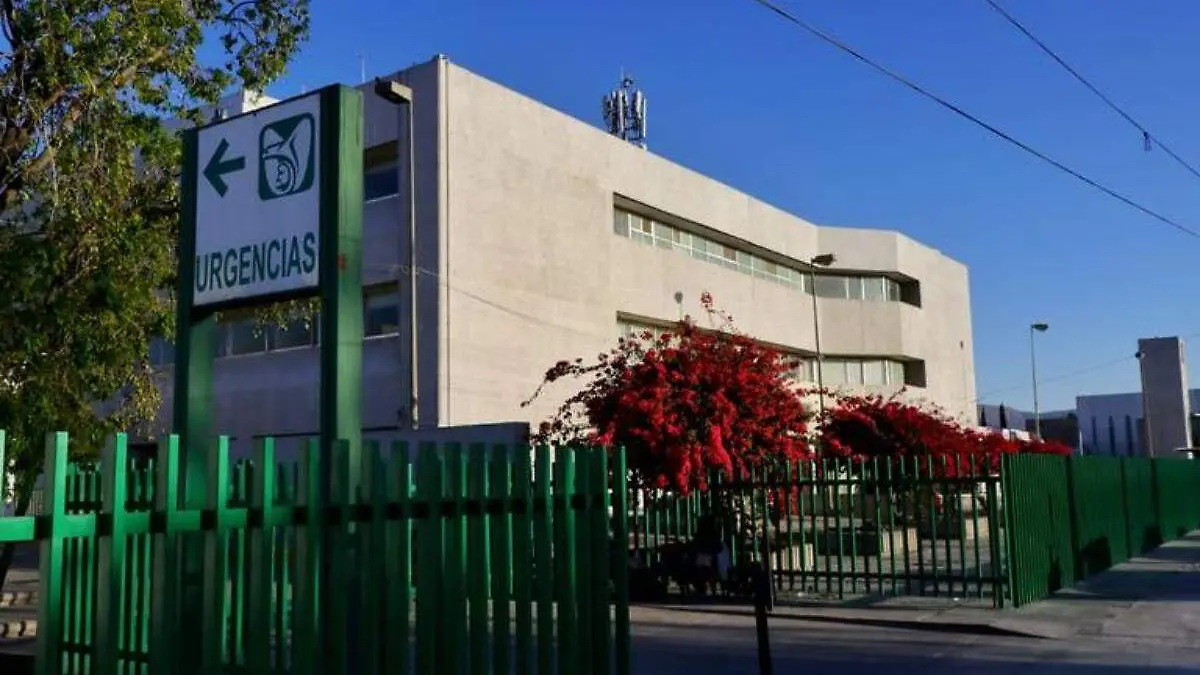 IMSS (1)