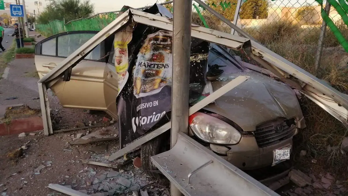 02 Por no arrollar a un perro