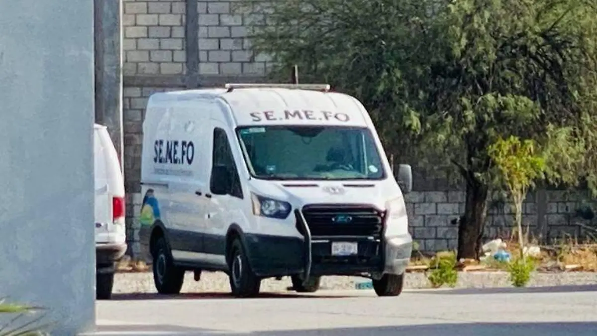 Semefo