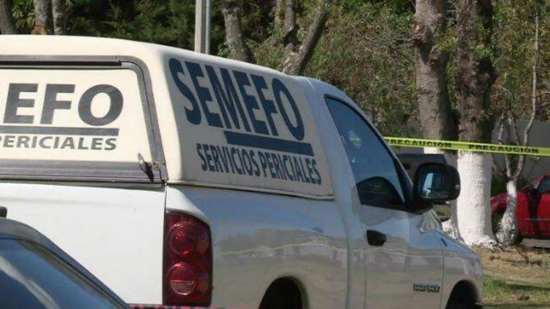 semefo