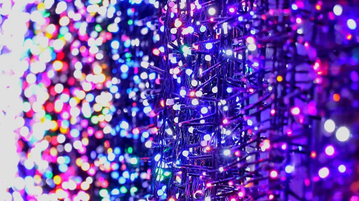 WhatsApp Image 2021-12-01 at 21.17.26