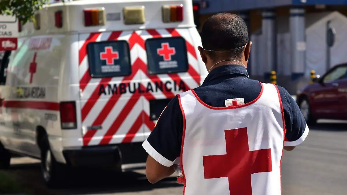 WhatsApp Image 2022-04-01 at 10.09.52 AM