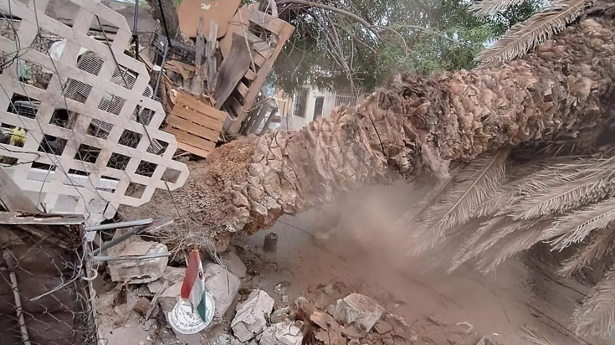 b204822b-7931-4188-a1ec-74d5ade8e0ae