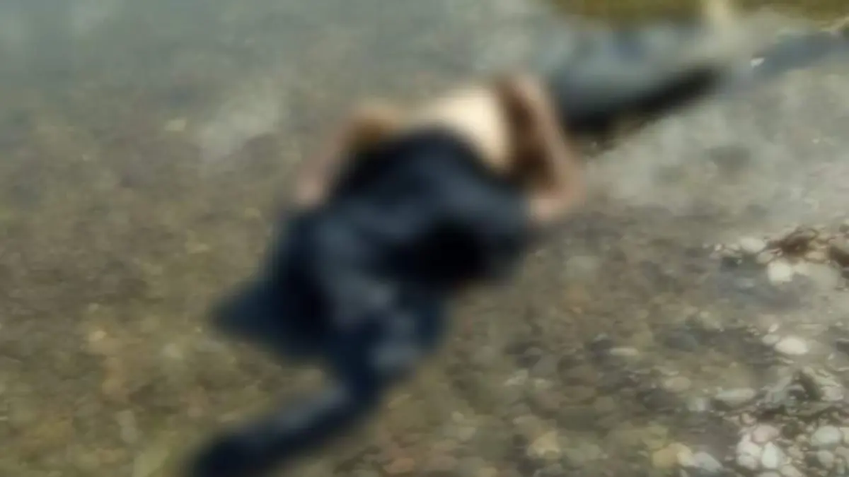 WhatsApp Image 2020-08-31 at 07.59.36