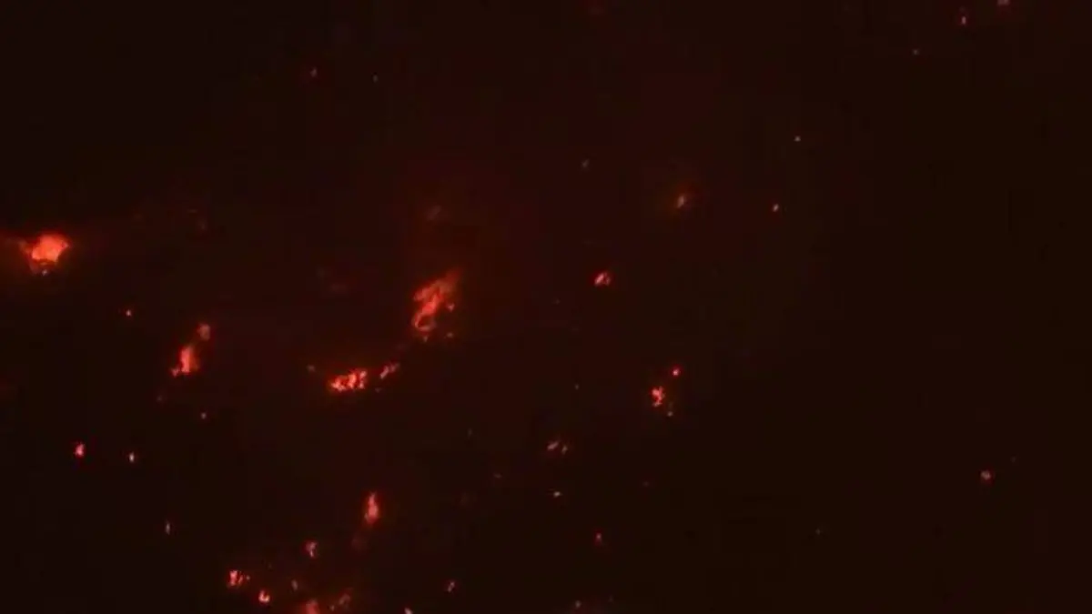 Incendio Cañón del Indio