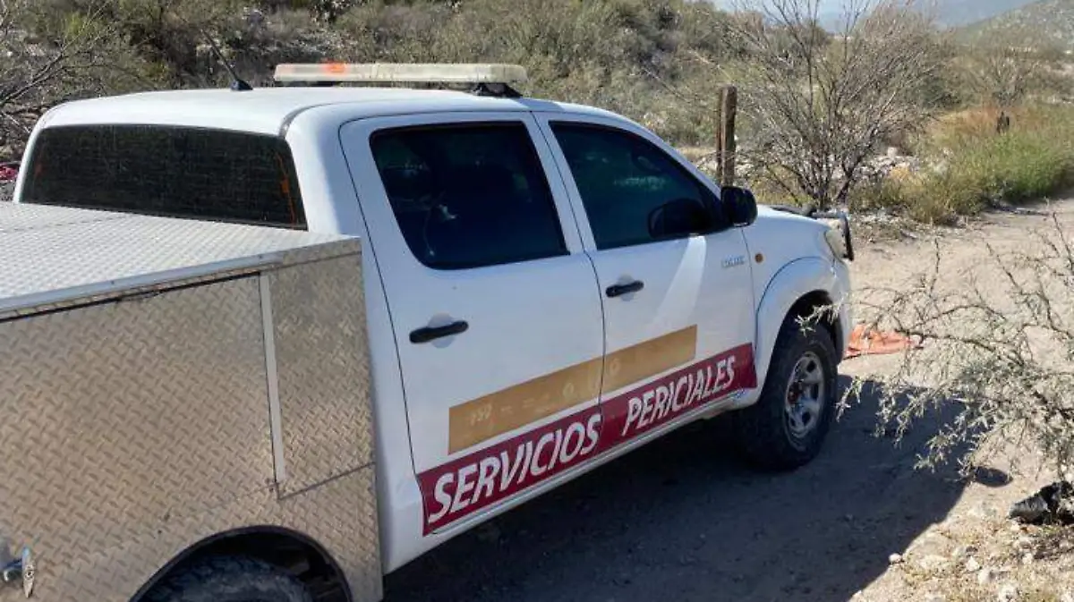 WhatsApp Image 2023-04-06 at 12.49.17 PM