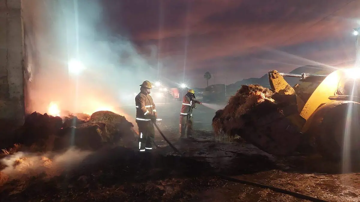 WhatsApp Image 2022-12-29 at 11.08.10