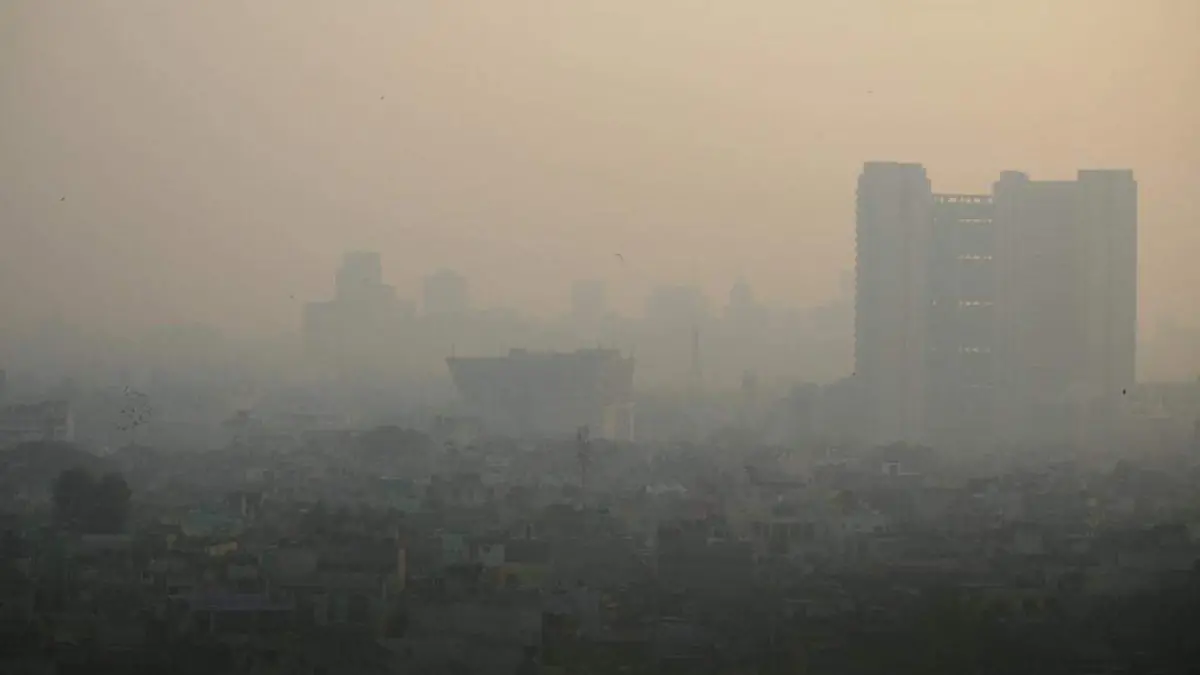nueva delhi