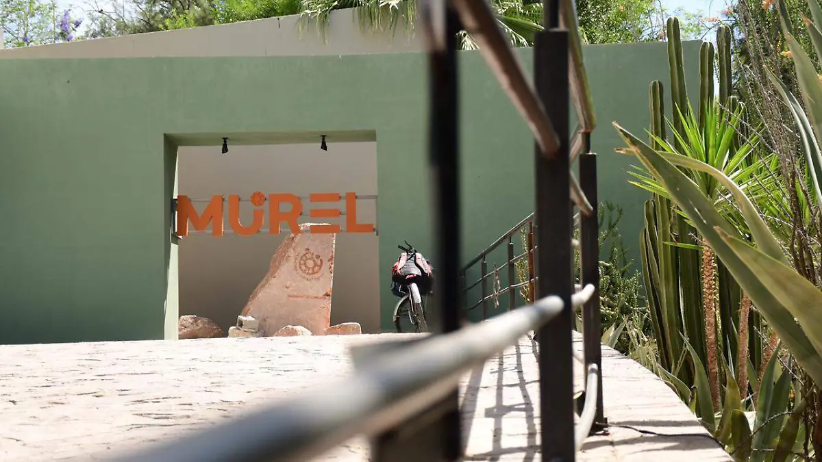 MUREL