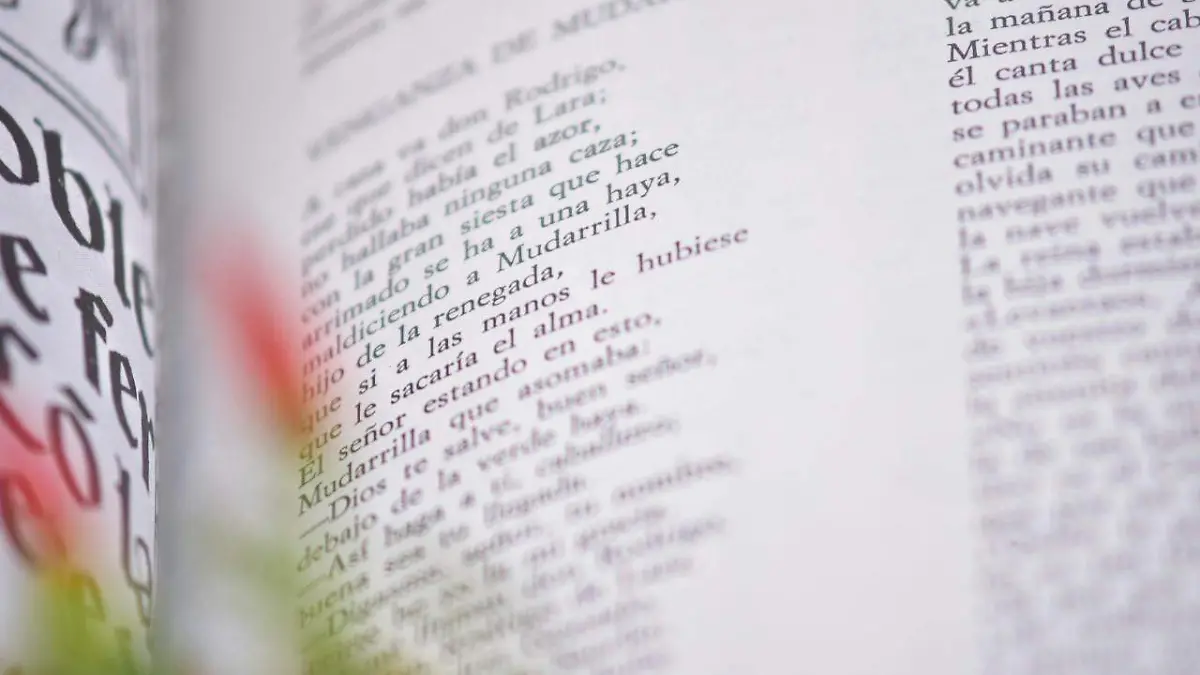 Lectura bibliotecas Torreón