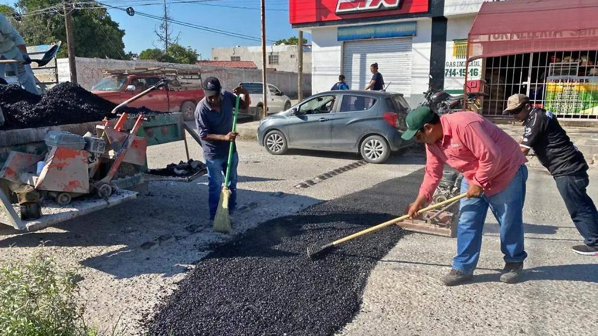 bacheo-lerdo
