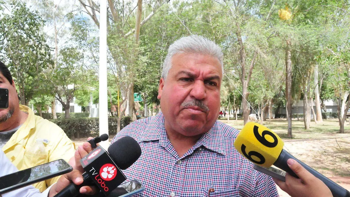 WhatsApp Image 2023-04-08 at 16.39.37