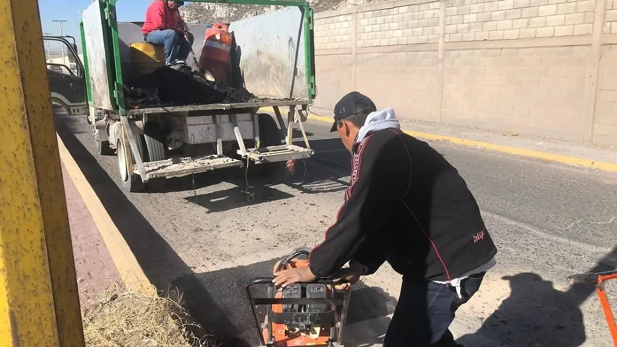 baches lerdo