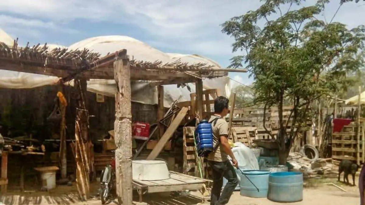 Fumigación garrapatas Lerdo