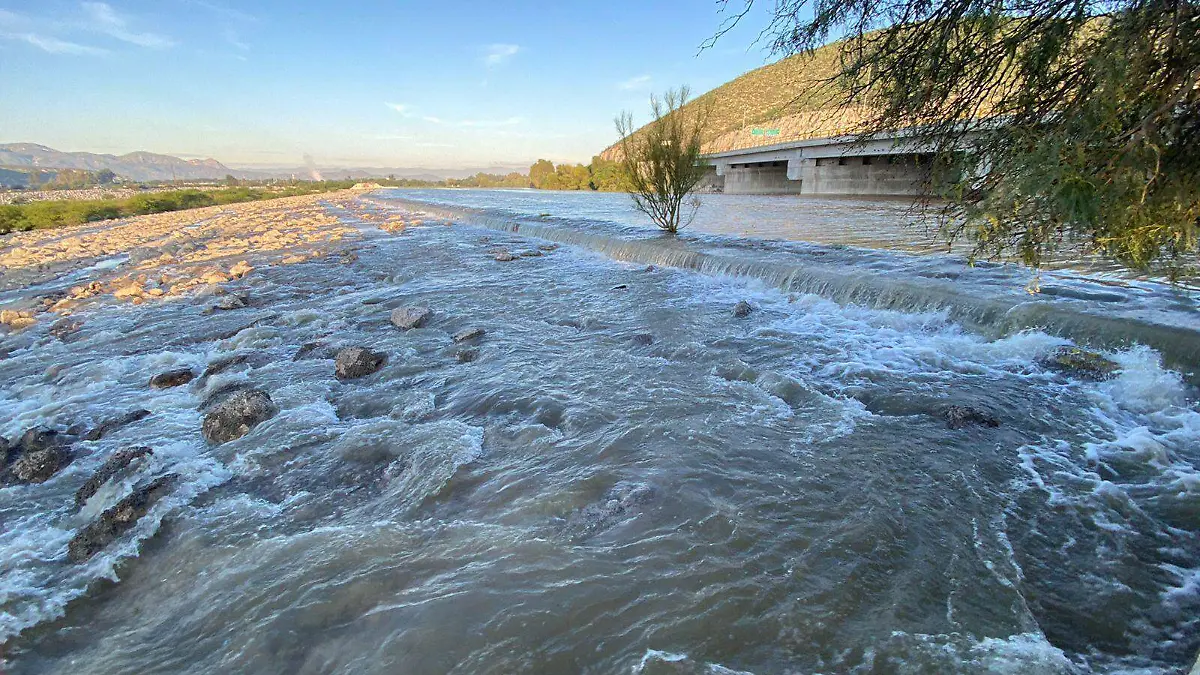 WhatsApp Image 2022-09-13 at 13.52.48