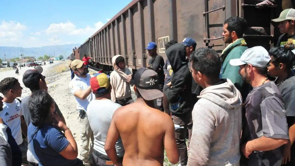migrantes (1)