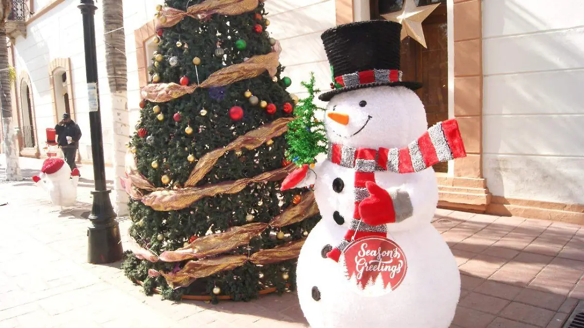 WhatsApp Image 2021-12-16 at 2.54.52 PM