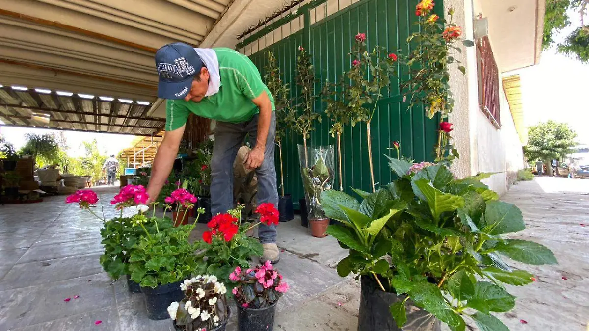 WhatsApp Image 2023-05-10 at 15.30.54