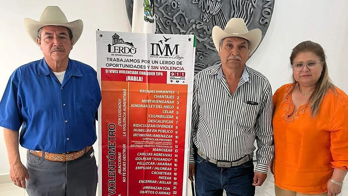 IMM-lerdo