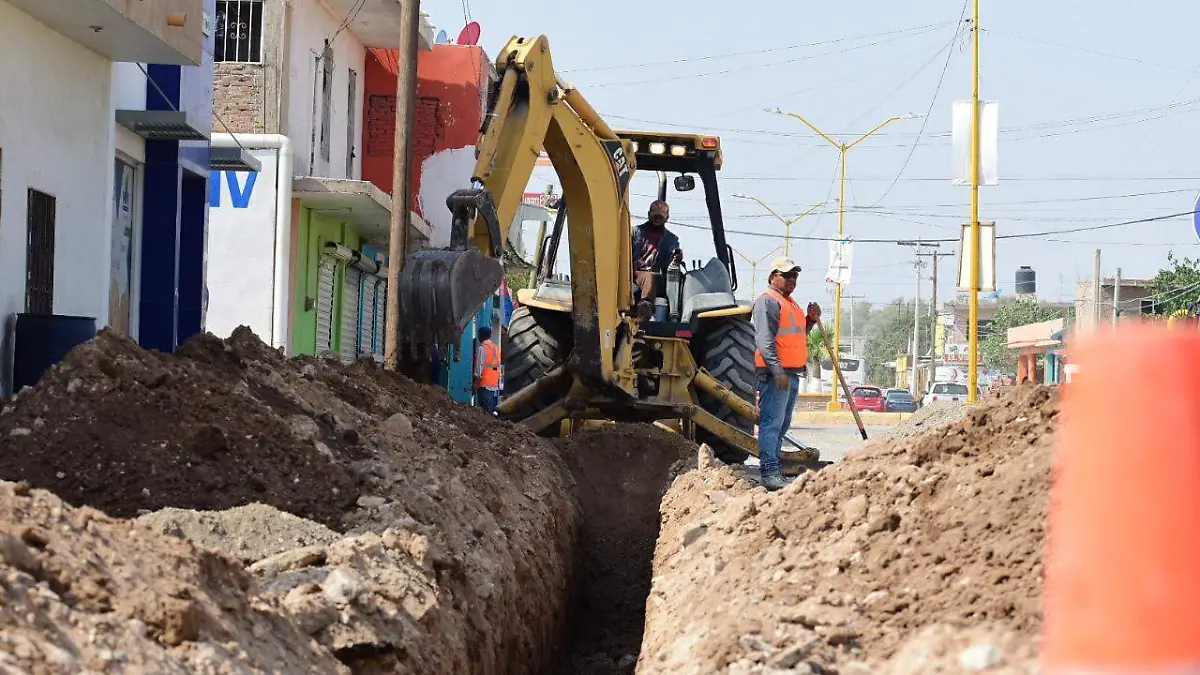 WhatsApp Image 2023-01-09 at 12.02.27